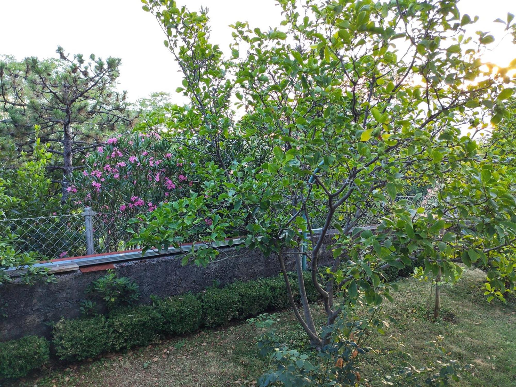 Apartment With Private Garden And The Terrace Ev Station Available Crikvenica Exterior foto