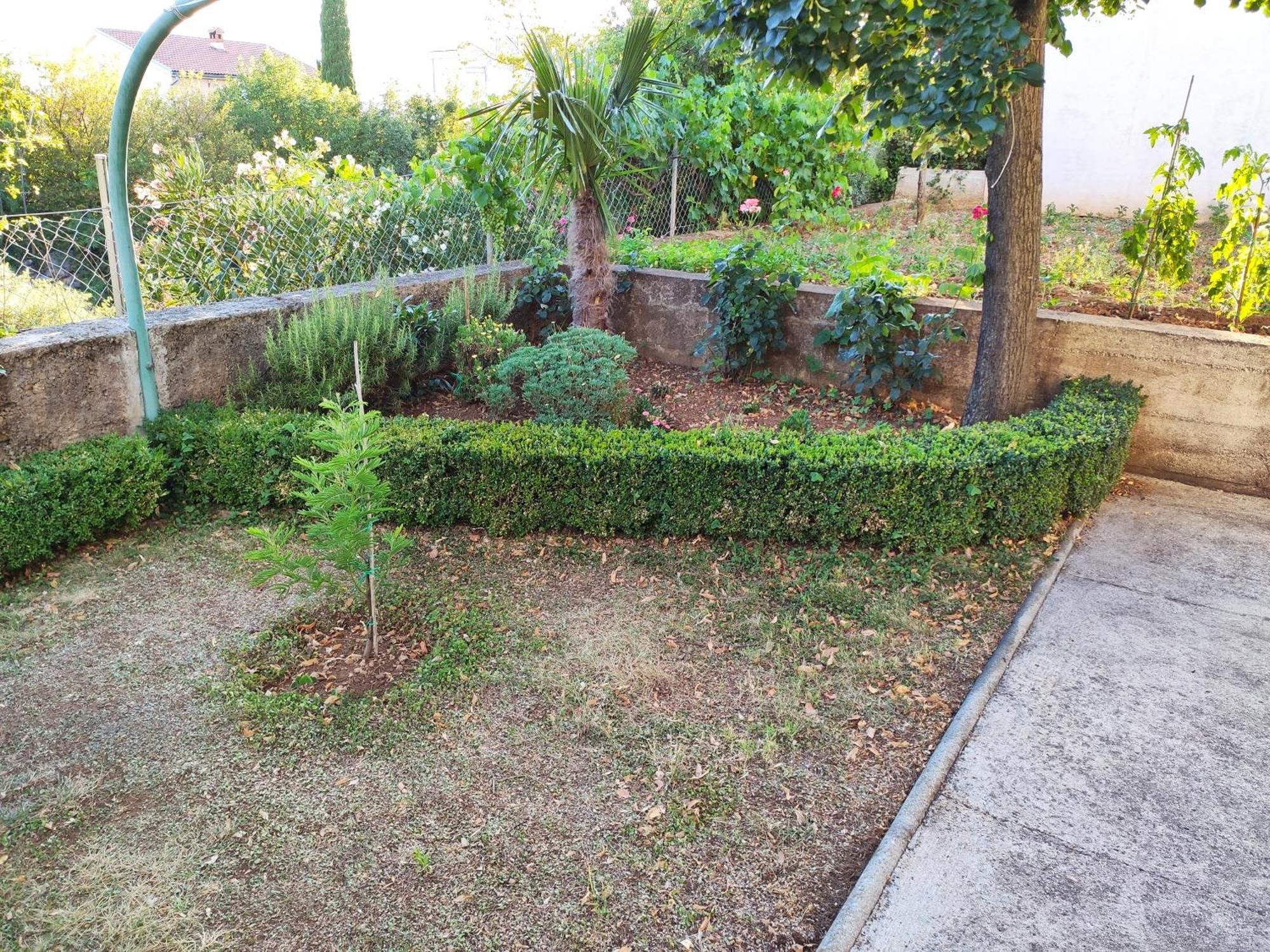 Apartment With Private Garden And The Terrace Ev Station Available Crikvenica Exterior foto